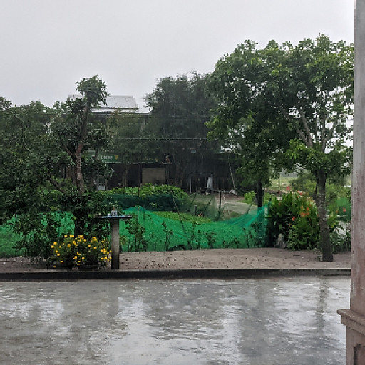 Văn Nguyên Nguyễn