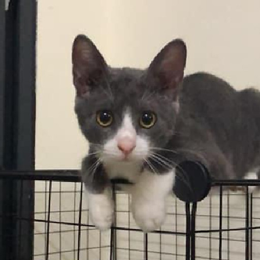 Hoàng Thị Mỹ Dung