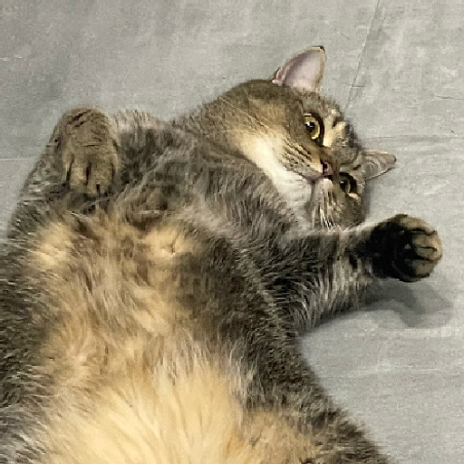 nguyễn trúc huyền