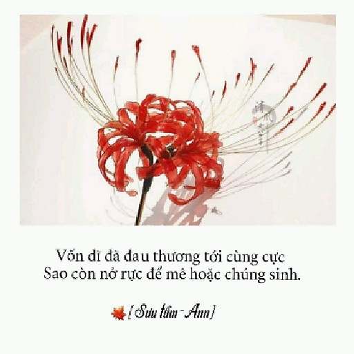 Ngô Văn Cường