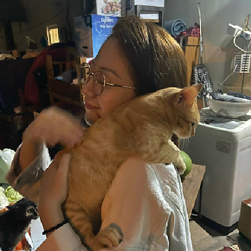 Trang Ha Kieu