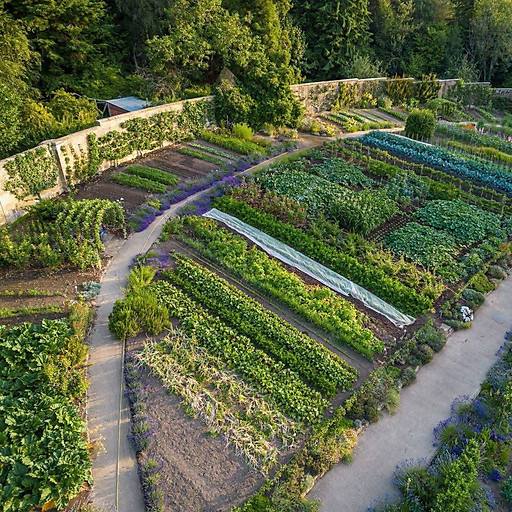 Lê Thị Thanh Hiền