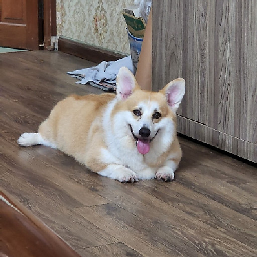 anh Nguyễn Minh Phương