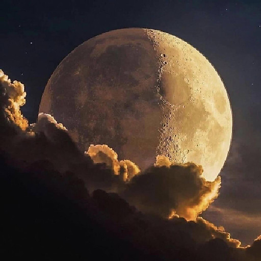 trần quốc khương