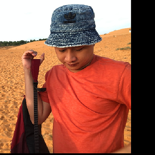 Trần Vũ Thanh Giang