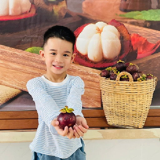 Vũ Đức Thoan