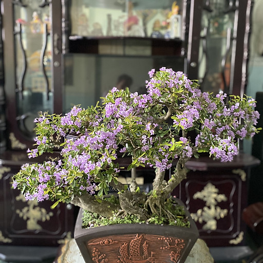 Nguyễn Quốc Danh