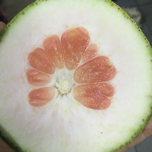 Máy in lụa RoboWind