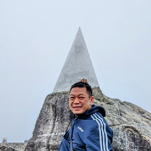 Han Le