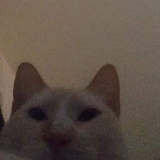 Nguyễn Thanh Tùng