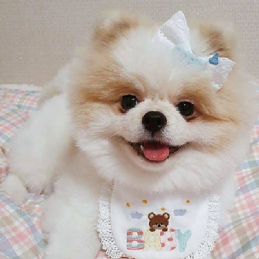 Nguyễn Trần Phương Uyên