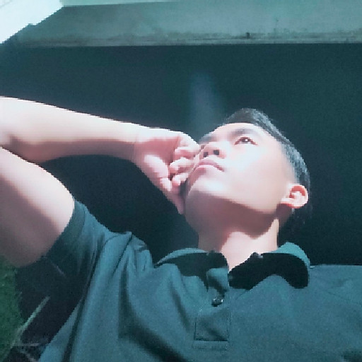 Nguyễn Hồng Lưu