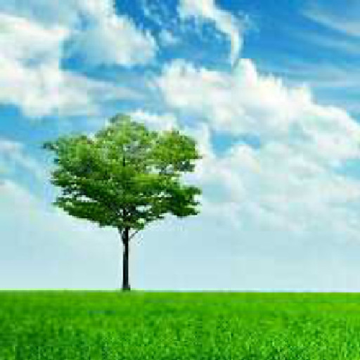 Y Yin Knul  Diệp Thiên 