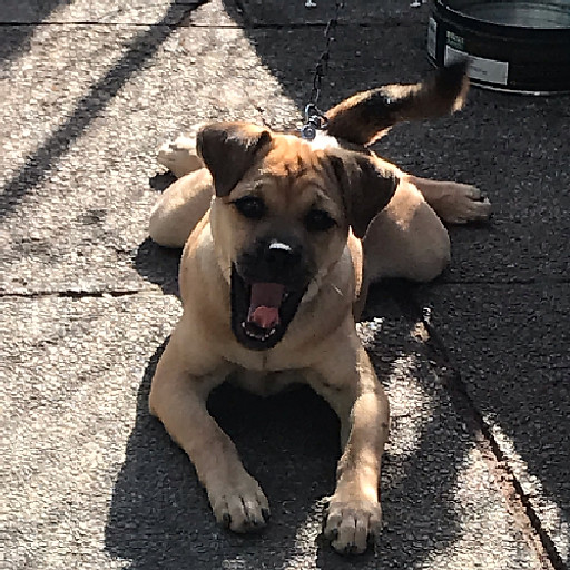 Nguyễn Quang Hùng