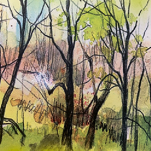 thuỷ thủ mặt trờiii