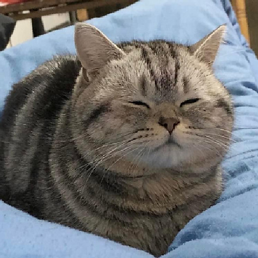 Trần Đức Thịnh