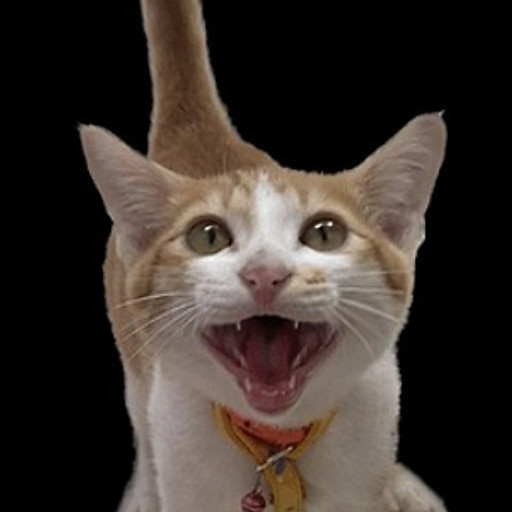 Nguyễn Trần Khánh Hà