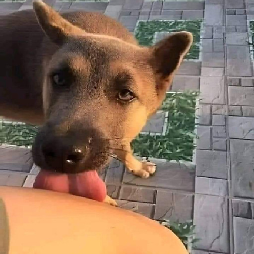 Nguyễn Bảo Trung