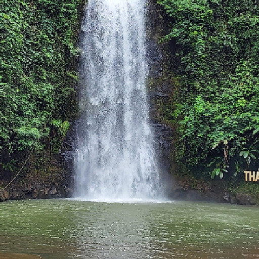 Nguyễn Trung Tuyến