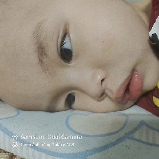 Trần Thị Lệ quyên