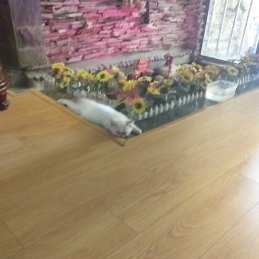 Nguyễn Thị Thùy Linh