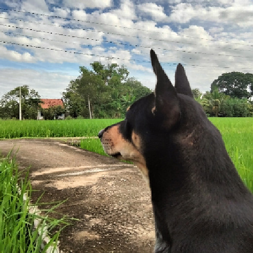 Trần Huỳnh Thu Thuỷ 