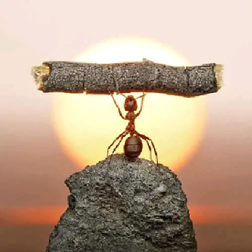 Nguyễn Ngọc Sáng