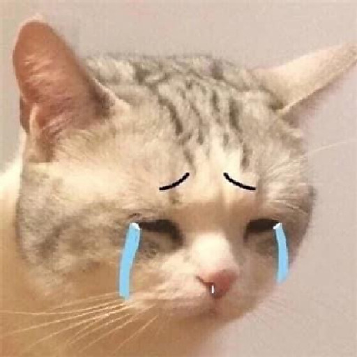 Nguyễn Ngân Diệp