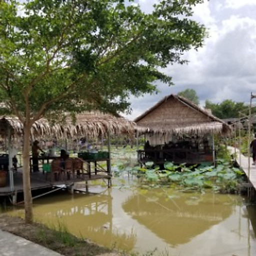 Tự Lực Ngô