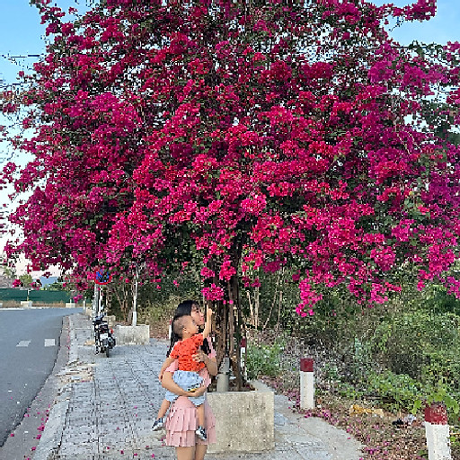 PHAN THỊ HỒNG ÁNH