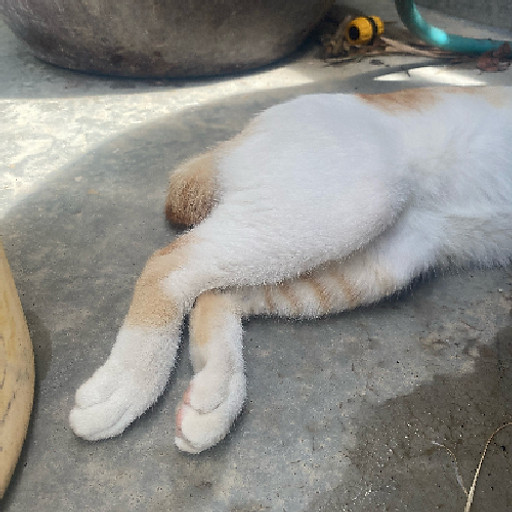 Hoàng Thị Thu Hằng