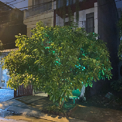 Hồ Quang Minh