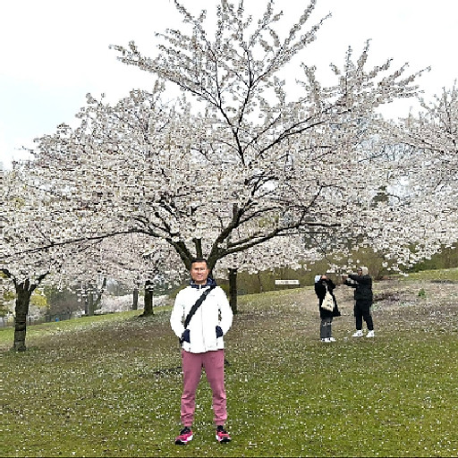 Huỳnh Quang Hoàng Vỹ