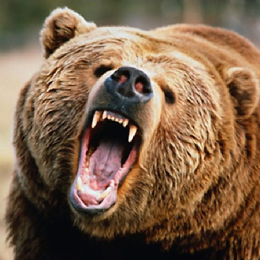 Nguyễn Minh Trực