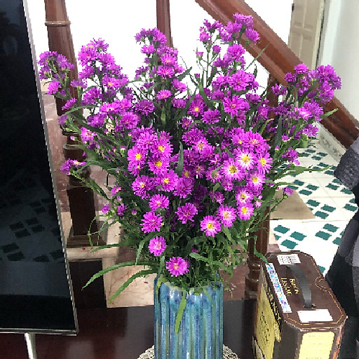 Nguyễn Thị Khánh Dư