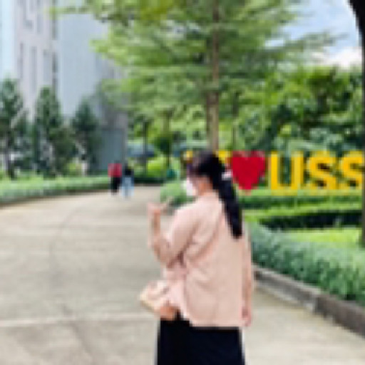 Lê Trần Mỹ Phương