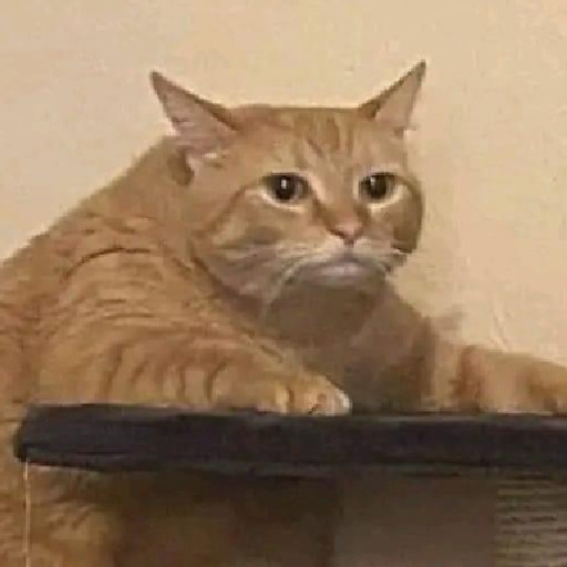 Nguyễn Vương Thụy Anh