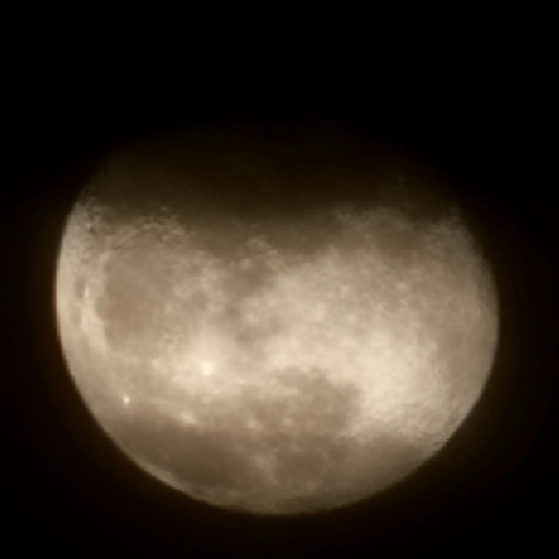 Đoàn Nguyễn Tố Như