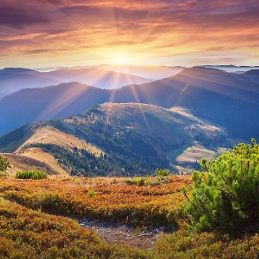 Phạm Trương Văn Đoàn