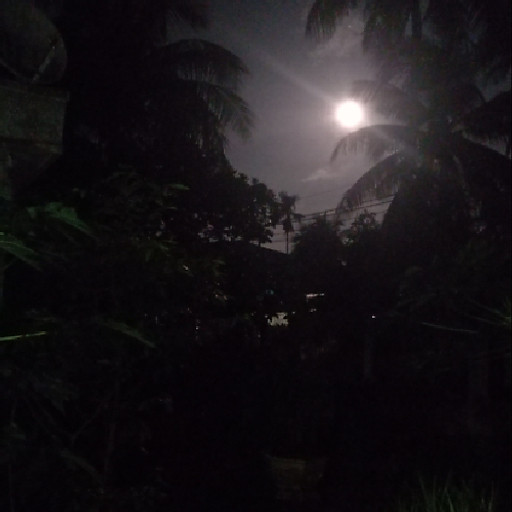 Trịnh Hoàng Ngọc Thảo