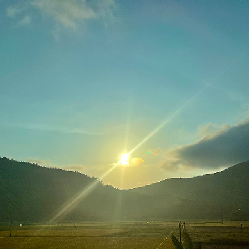 Nguyễn Thị Kim Yến 