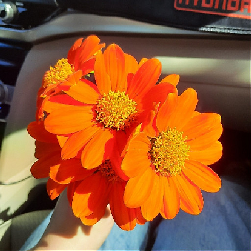 Phan Thị Kim Diệp