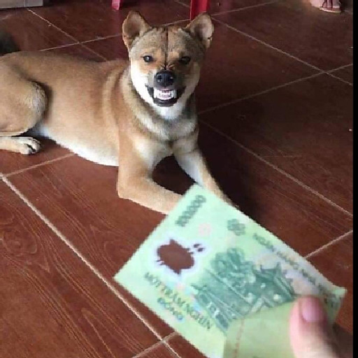 Nghiêm Chí Thiện