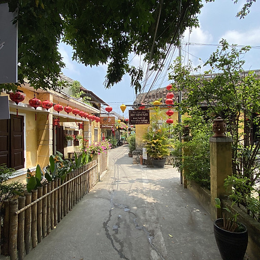 Nguyễn Tường Tuyết Mai