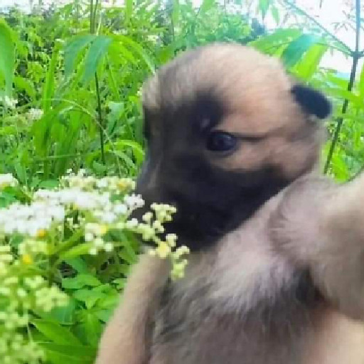 Nguyễn Trương Bảo Ngân 