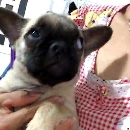 Lê Nguyễn Trúc Linh