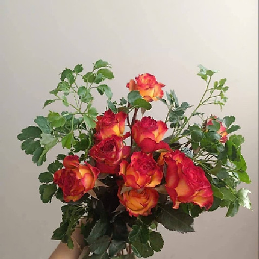 Nguyễn Thị Hiên