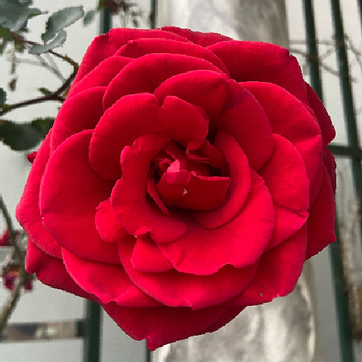 Kế Toán Pháo Binh