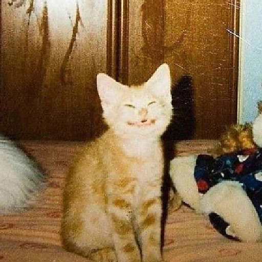 Nghiêm Đức Trung