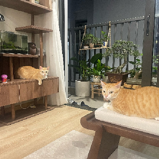 Nguyễn Lê Gia Phụng